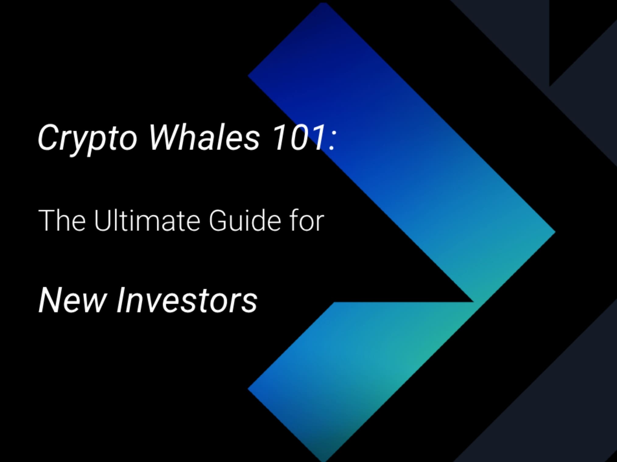 Crypto Whales 101: The Ultimate Guide for New Investors