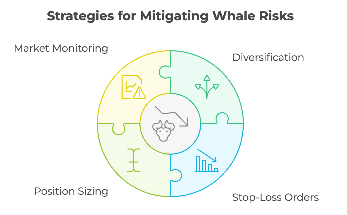 Strategies for Mitigating Whale Risks